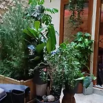 Boheme Dans Le 5E